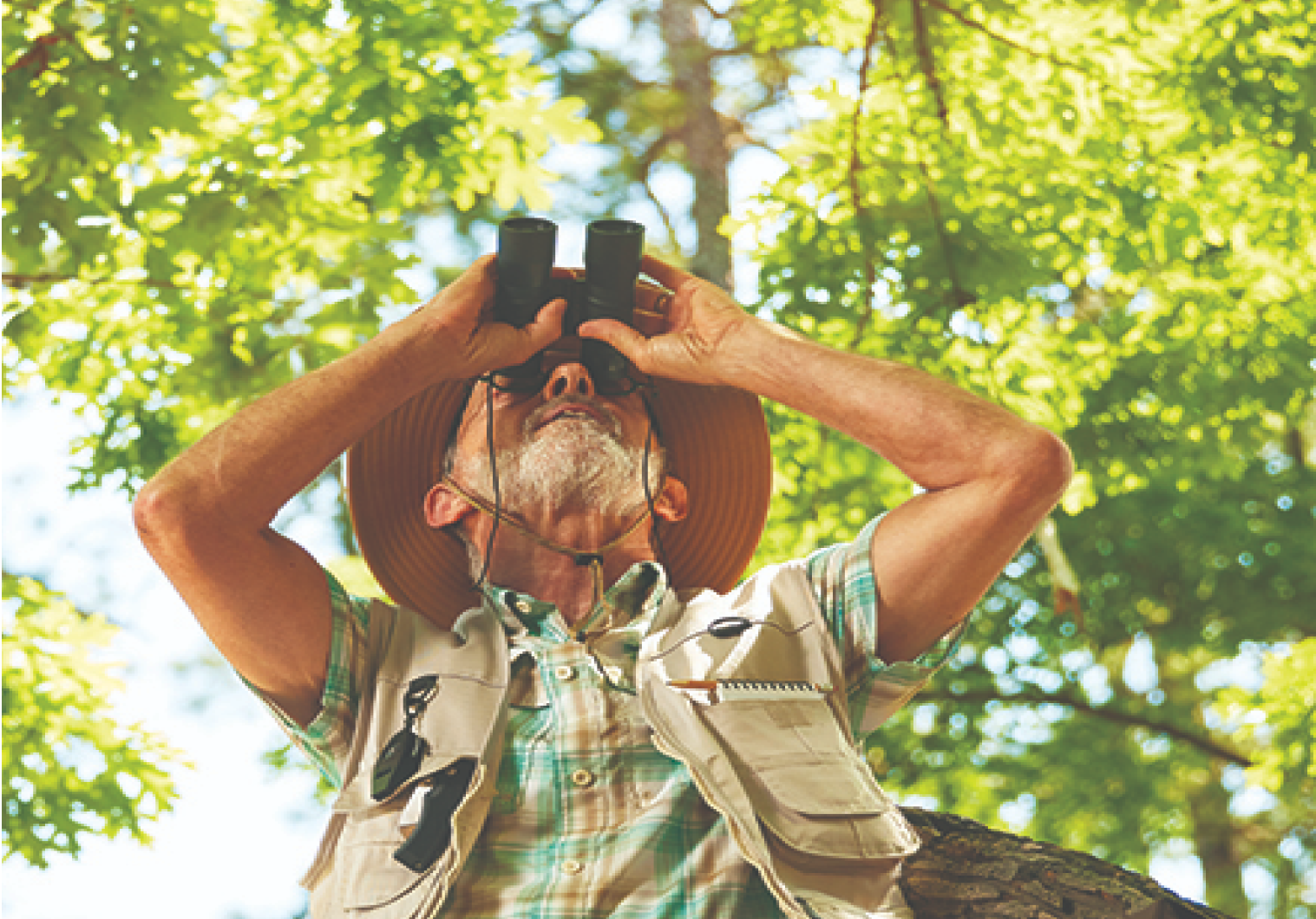 man bird watching